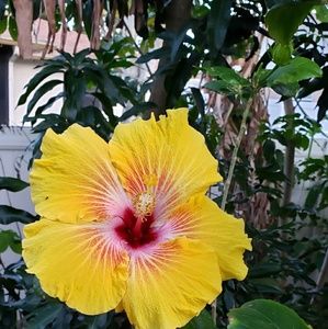 Meet your Posher, Charlene